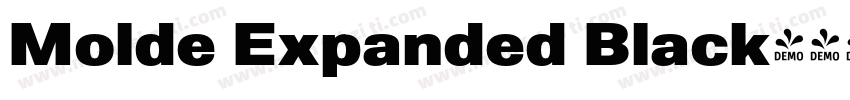 Molde Expanded Black字体转换